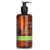 APIVITA Tonic Mountain Tea Shower Gel with Essential Oils