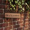 Retro Bird Wall Art Mini Welcome Sign Carved Wooden Panel with Iron Frame Rustic Country Porch Sign Mounting for Outdoor Courtyard Gates Fences,