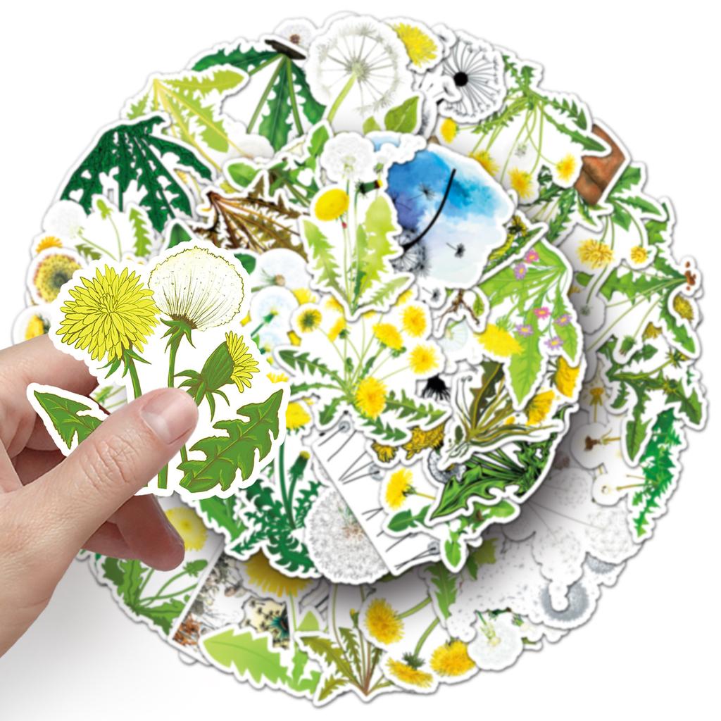 50 Dandelion Graffiti Stickers Personalized Small Fresh Plant Flowers Decoration Mobile Phone Water Cup Waterproof Stickers