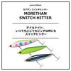 DAIWA Seabass Morethan Switch Hitter Fuyagai Lure 120S+R