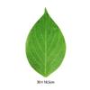30PCS Food Contact Safe Food Serving Mats Printed Green Leaf Greaseproof Paper Mats  for Seafood