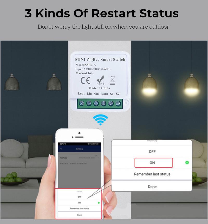Tuya Zigbee Smart On/Off Mini 16A Switch with Alexa Voice Control