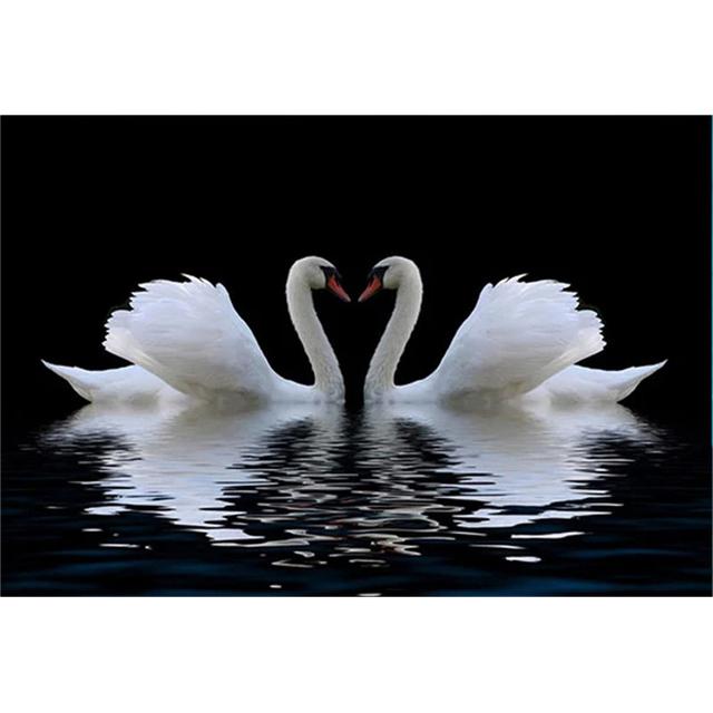 

Ночное озеро, Лебедь, любовь, картина, холст, живопись, постеры и принты, современное настенное искусство, спальня, прикроватная тумбочка, гостиная, украшение для дома 30X40cm Unframed