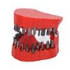 Denture Drill Bit Holder Teeth Model Shaped Full Opening Screwdriver Bit Organizing Holder with 28