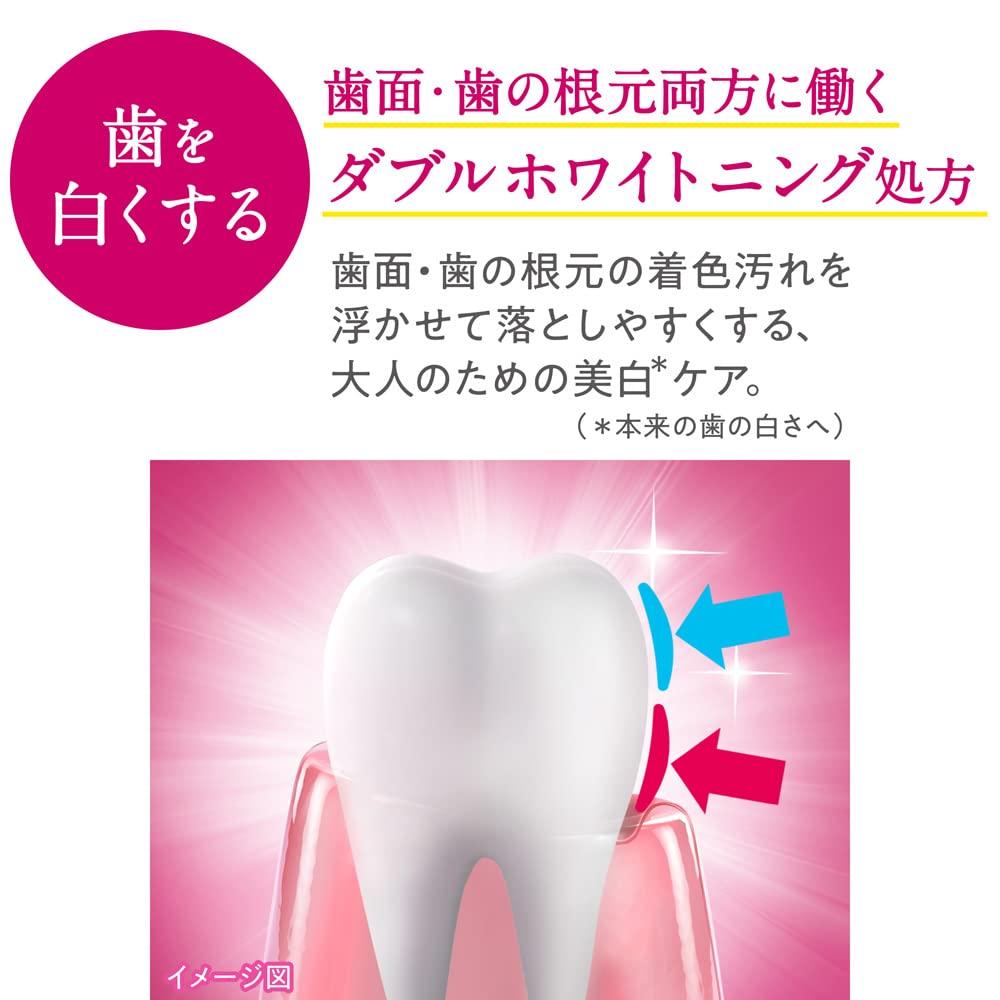 Systema Haguki Plus [Quasi-drug] Premium Toothpaste for Greedy Whitening Silky Floral Mint Toothpaste Whitening Periodontal Disease Fluoride 95g x 2