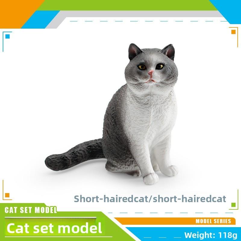 Maine Cat Ragdoll Coon Pvc Realistic Model Toys For Kids Learning And Decor Home