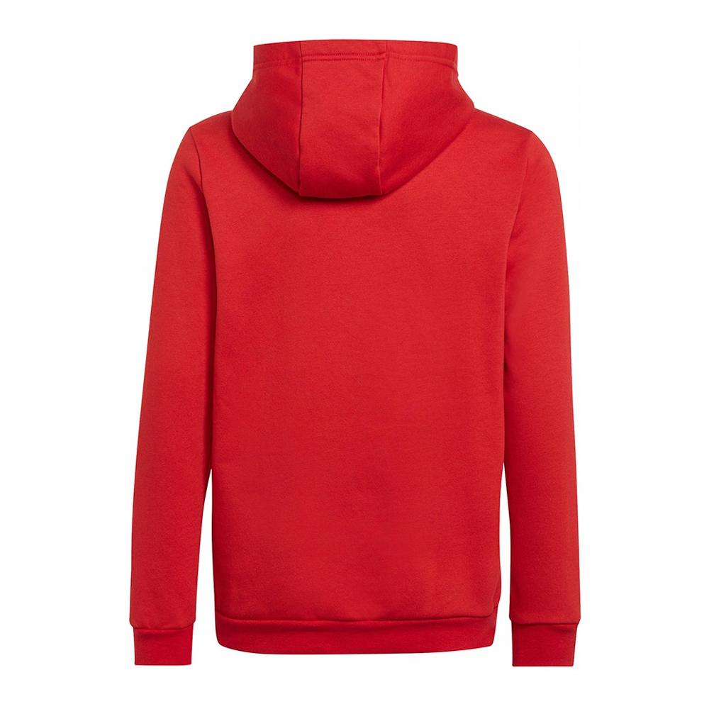 Adidas Childrens/Kids Entrada 22 Hoodie