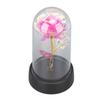 Colorful Light Up Rose in Glass Dome Birthday Gifts Ambient Lighting Light Up Artificial Flower Rose for Anniversary