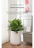 Nordic Creative Self-Watering Large Round Rattan Style Indoor Flower Pot for Green Plants