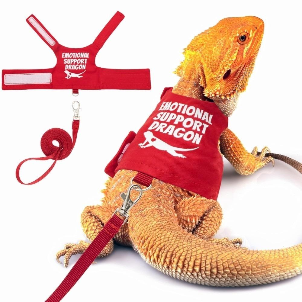 

Short Leash Bearded Dragon Harness Soft Leather Reptile Harness Reptile Walking червоний