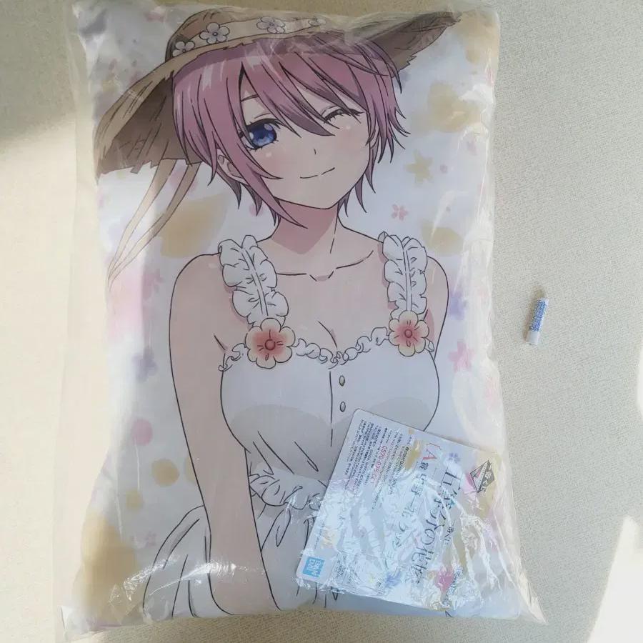 

Unopened 5 Equal Bride Ichika Cushion Ichibangkuji Half Presto