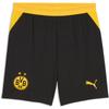 Bvb Borussia Dortmund Replica Shorts 100% Recycled Polyester Yellow
