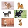 TOYMANY 12PCS Dog Figure Set Mini Animal Figure Dog Model Realistic Animal Model Realistic Animal Model Mini Model Popular Animal Toy Toy Birthday