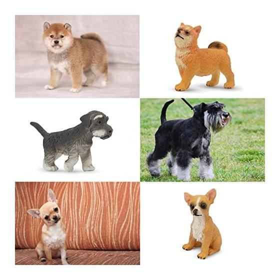 TOYMANY 12PCS Dog Figure Set Mini Animal Figure Dog Model Realistic Animal Model Realistic Animal Model Mini Model Popular Animal Toy Toy Birthday