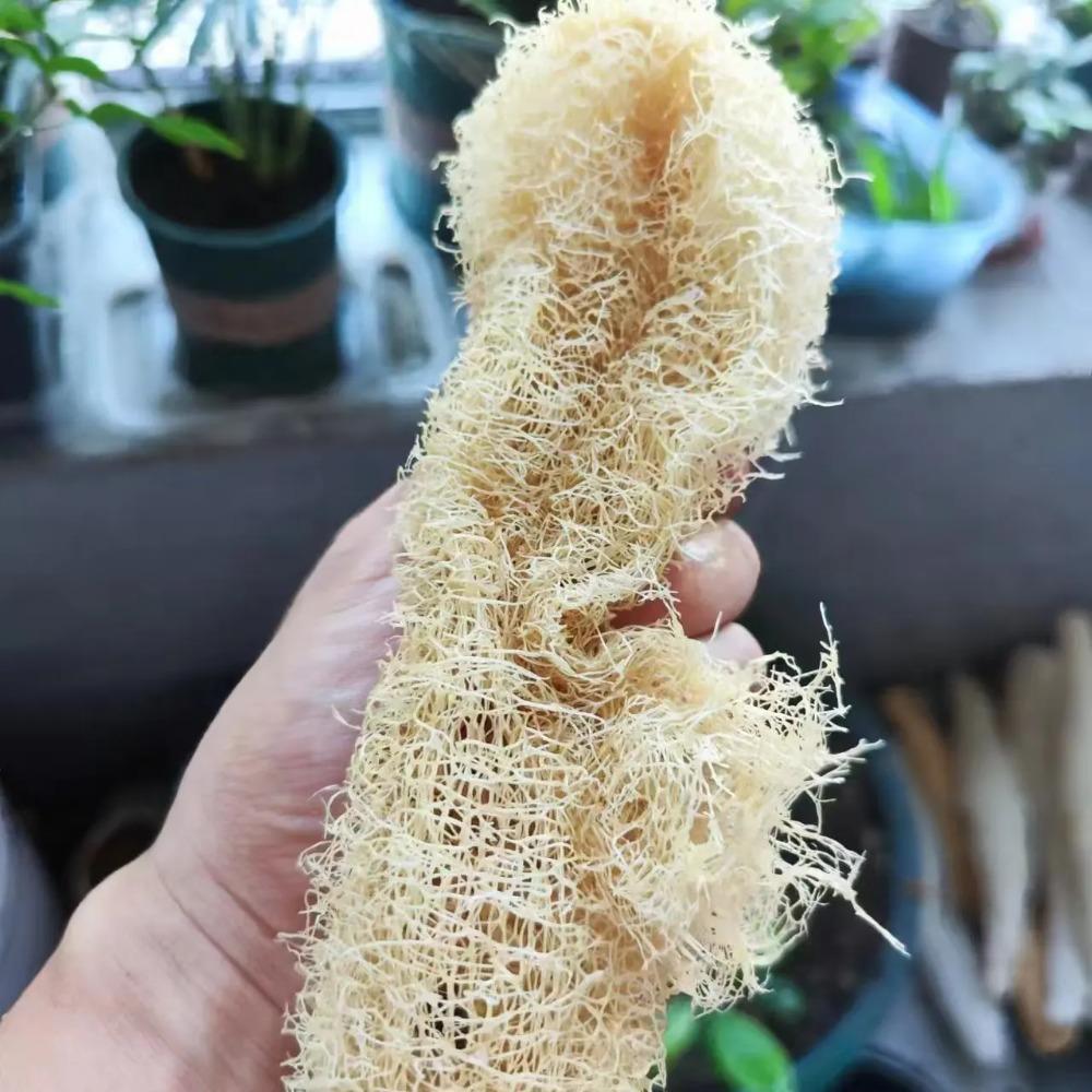 HOMZY 1pcs Natural Loofah Sponge Multi-purpose Cleaning Tool for Kitchen Bathroom Scrubber for Daily Cleansing Wash Body Scrubber Spa