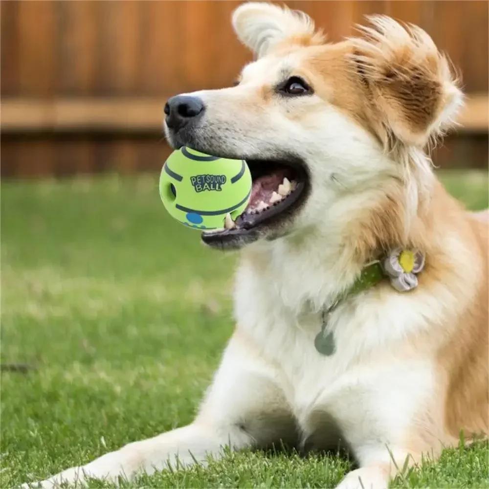Hundespielzeug Lustiges interaktives Kicherball-Spielzeug für Hunde Zähneknirschen und Langeweile vertreiben Hund Verschleißfeste Kauspielzeuge Haustierbedarf