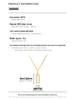 Banyan Tree S925 Silver Geometric Paperclip Necklace with Sparkling Diamond