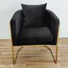Nordic Living Room Chair-Fabric Upholstery,Light Luxury Design,Single Leisure Seat with Backrest & Armrest,Comfortable Furniture