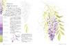Botanical Color Palette