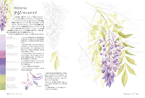 Botanical Color Palette
