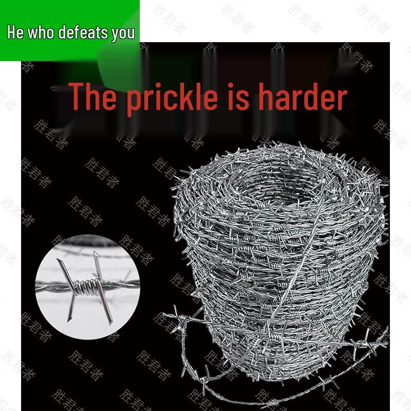 Hot-dip Galvanized Security Barbed Wire
