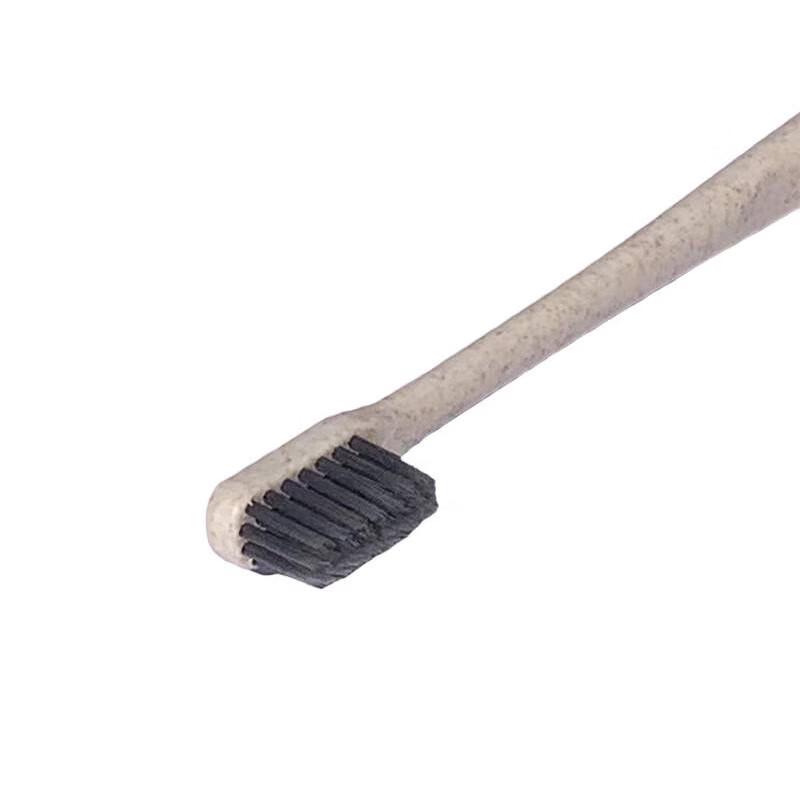 Disposable Toothbrush & Toothpaste Set