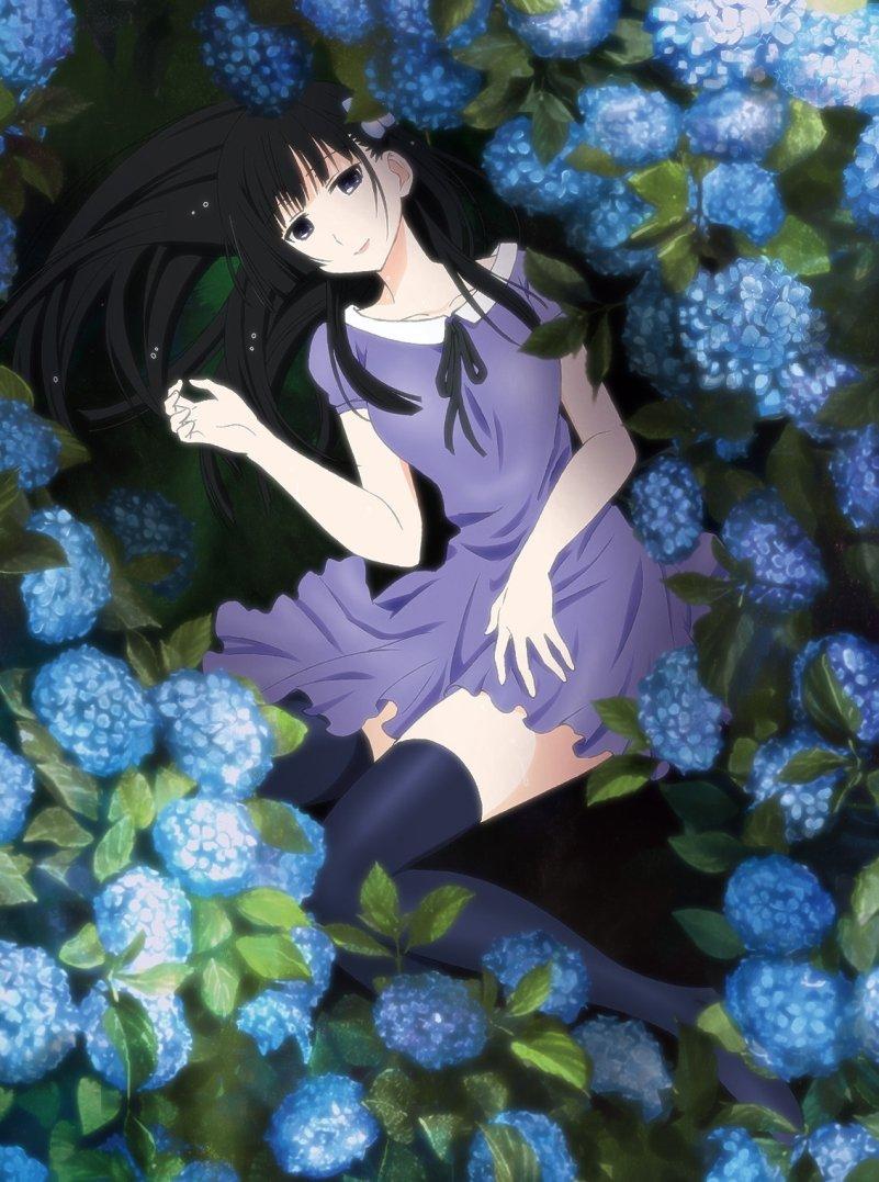 

Sankarea BOX Blu-ray