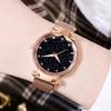 Fashion Casual Ladies Star Watch Exquisite Disc Steel Strap Watch Quartz Watch Romantic Valentine's Day Gift