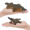 Realistic Pvc Platypus Model Educational Toy For Kids Decorative Desktop Display
