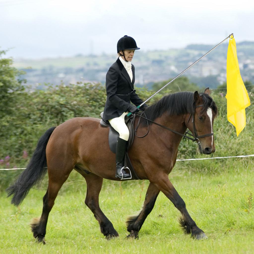 10Pcs Equestrian Training Flags Equestrian Training Equipment
