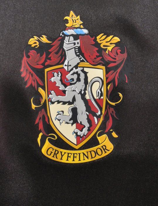 Déguisement et Accessoire Hermione luxe enfant