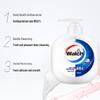 Walch Health & Moisturizing Antibacterial Hand Wash