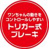 Petio Carapetti Dragon Ball Reel Read Capsule Corporation
