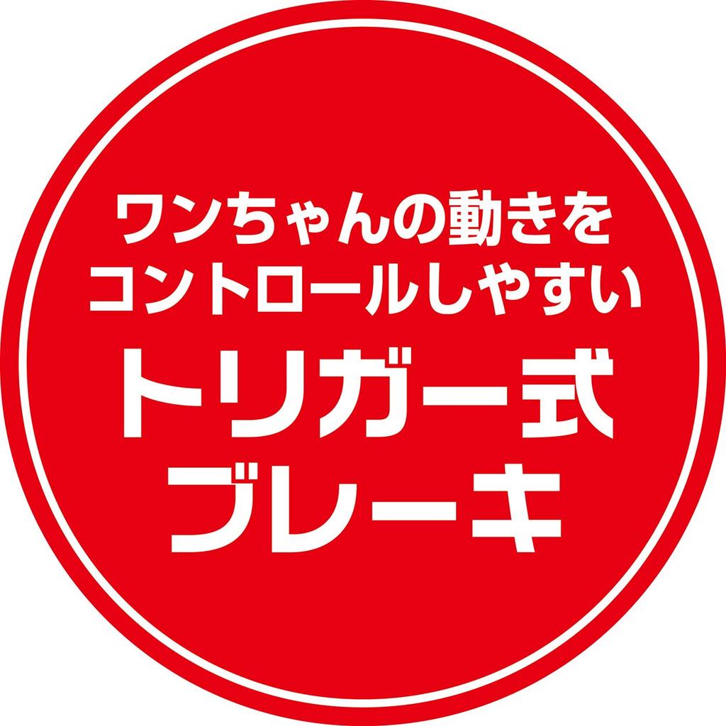 Petio Carapetti Dragon Ball Reel Read Capsule Corporation