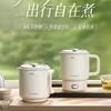 BEAR Portable Foldable Electric Travel Kettle CN Plug (adapter Included)