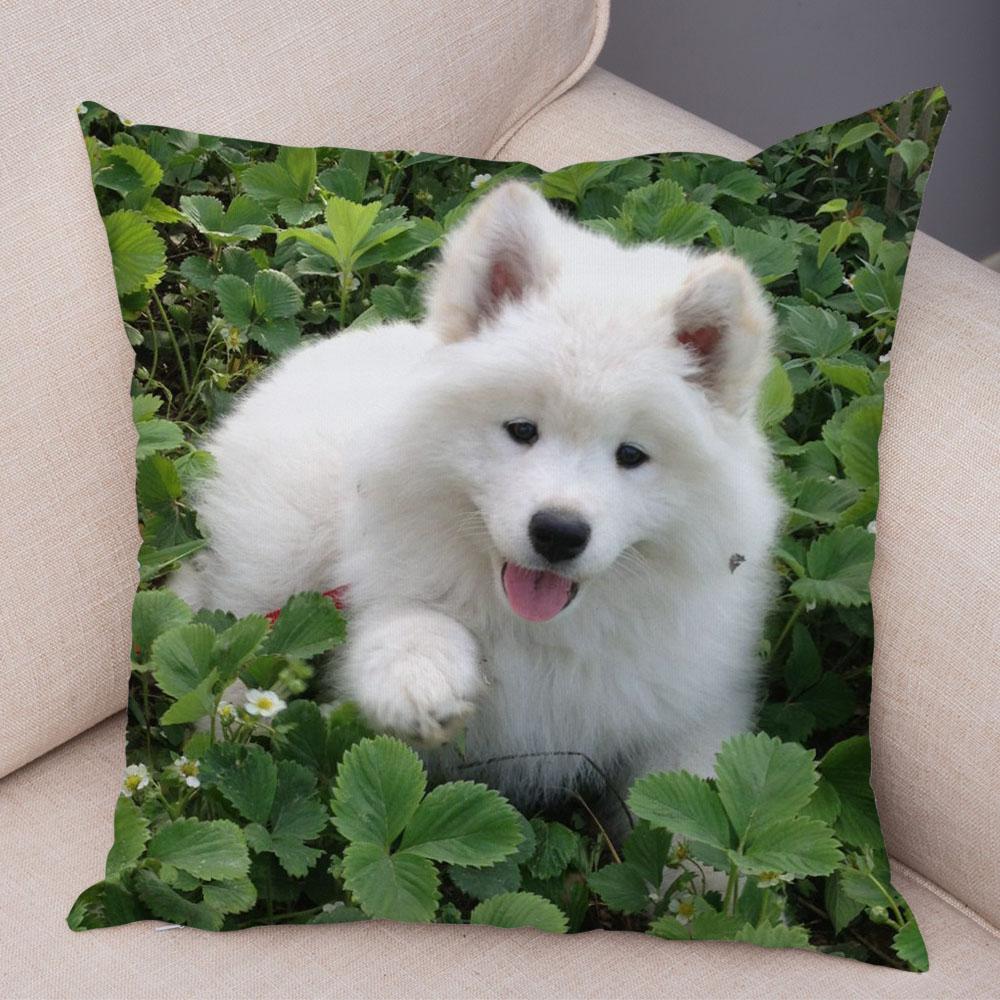 50 Stil Husă de Pernă Câine Alb Drăguț Samoyed Decor Husă de Pernă Animal de Companie Iubitor Husă de Pernă Moale de Pluș pentru Canapé Cameră Copii
