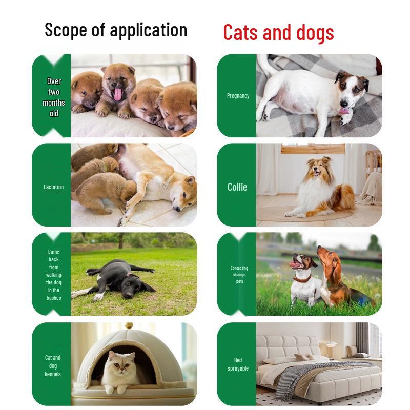 Ectoparasite Treatment Spray: Flea Stop - Removes Fleas, Kills Ticks & Mites, Cat & Dog Insect Repellent for Home.
