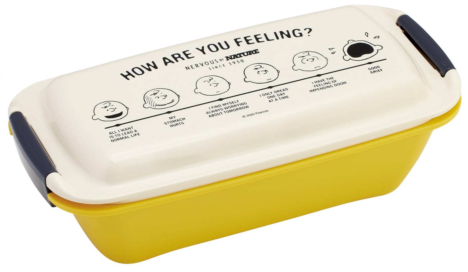 

Skater Biomass Lunch Easy to Clean with No Gasket Softly Dishwasher Microwave Made in Box, Grooves, 530ml, Served, Dome-Shaped Lid, Safe, Safe, Japan,