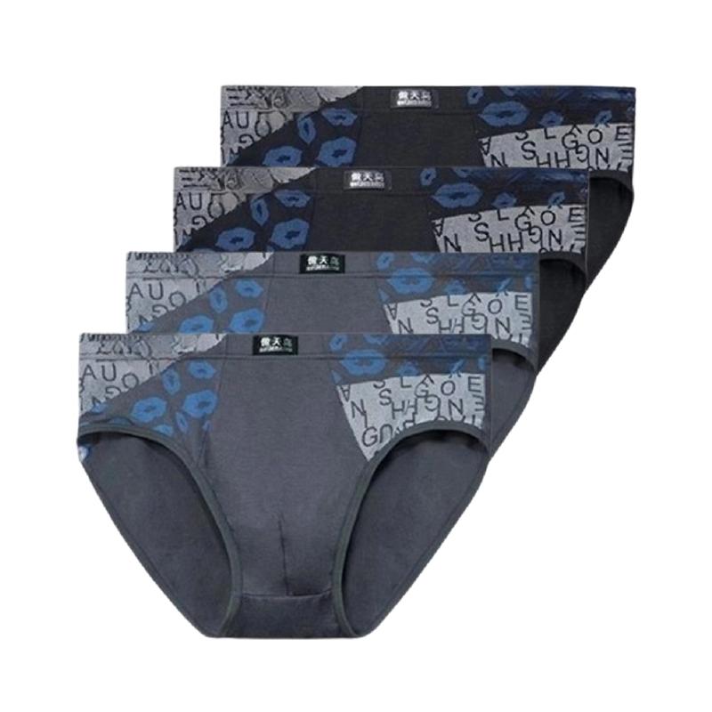 4 Stück Herren Modal Slips Mittelhoch Bedruckte Unterwäsche Atmungsaktiv Weich Männliche Dreieckslips Für Jugendliche Tägliches Tragen L XL XXL 3XL 4XL 5XL