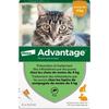 ADVANTAGE Solution Antipuce Chat Lapin 1 À 4kg 4 Pipettes