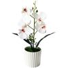 Artificial Orchid Plant 5 Bloom Plastic Phalaenopsis for Home Office Decor No Watering Needed 31cm Desktop Size