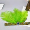 Feather Flapper Headbands Mardi Gras Prom Dancer Headpiece for Party Carnivals Celebrations Headwear Hair Styling