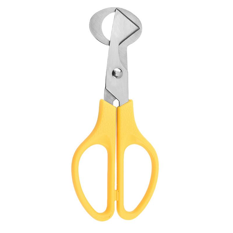 1Pc Stainless Steel Quail Egg Shell Scissors - Rust-Resistant Durable Kitchen Tool,  for Quail Egg Cutting & Cigar Trimming