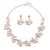 Conjunto de colar de pérolas de nicho elegante europeu e americano de luxo leve para mulheres, liga com galvanoplastia, acessórios para vestido de noiva, feminino sênior