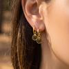 European Stainless Steel Shell Pendant Earrings: 18K Gold-Plated Fashionable High-End Ear Cuffs