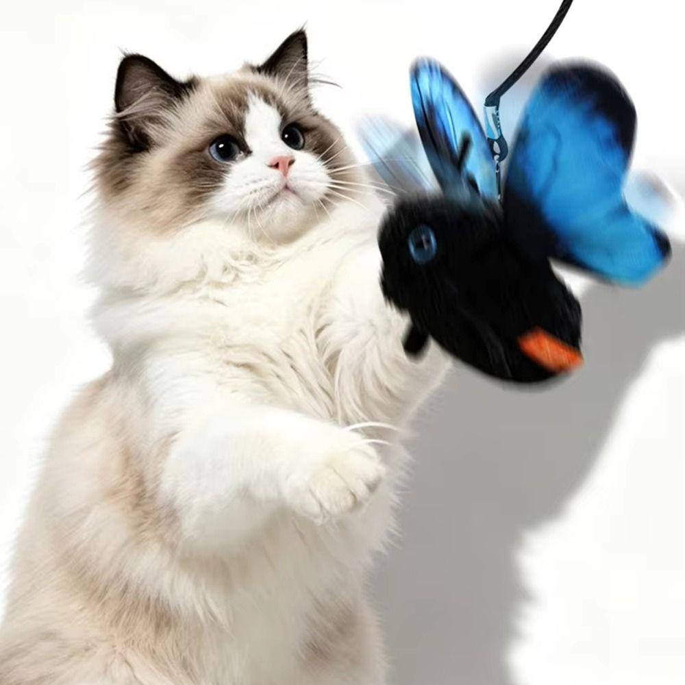 Multiple Modes Butterfly Cat Teaser Hanging Elastic String Feline Toy Kittens