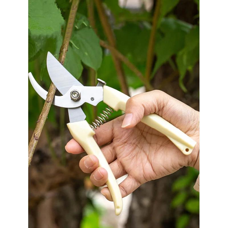 Stainless steel branch shears pruning shears picking fruit and flower shears garden fruit tree flower branch grafting gardening
