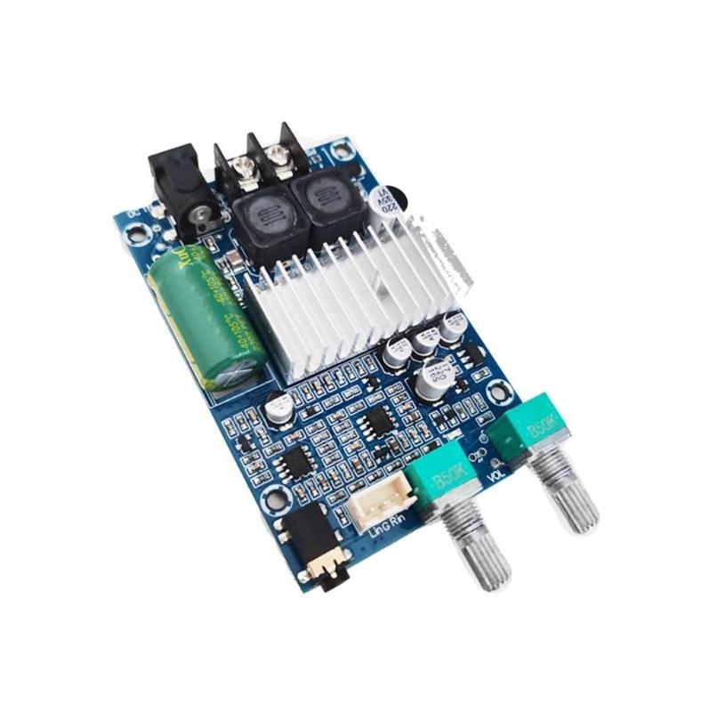 

24V Bass Boost Amplifier Board 100W TPA3116 High Power Subwoofer Amplifier Board Mono Fever Level For Home Theater 1