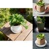 Plastic Flower Pot Tray With Pet Material And Dustproof Design For Garden And Home Use