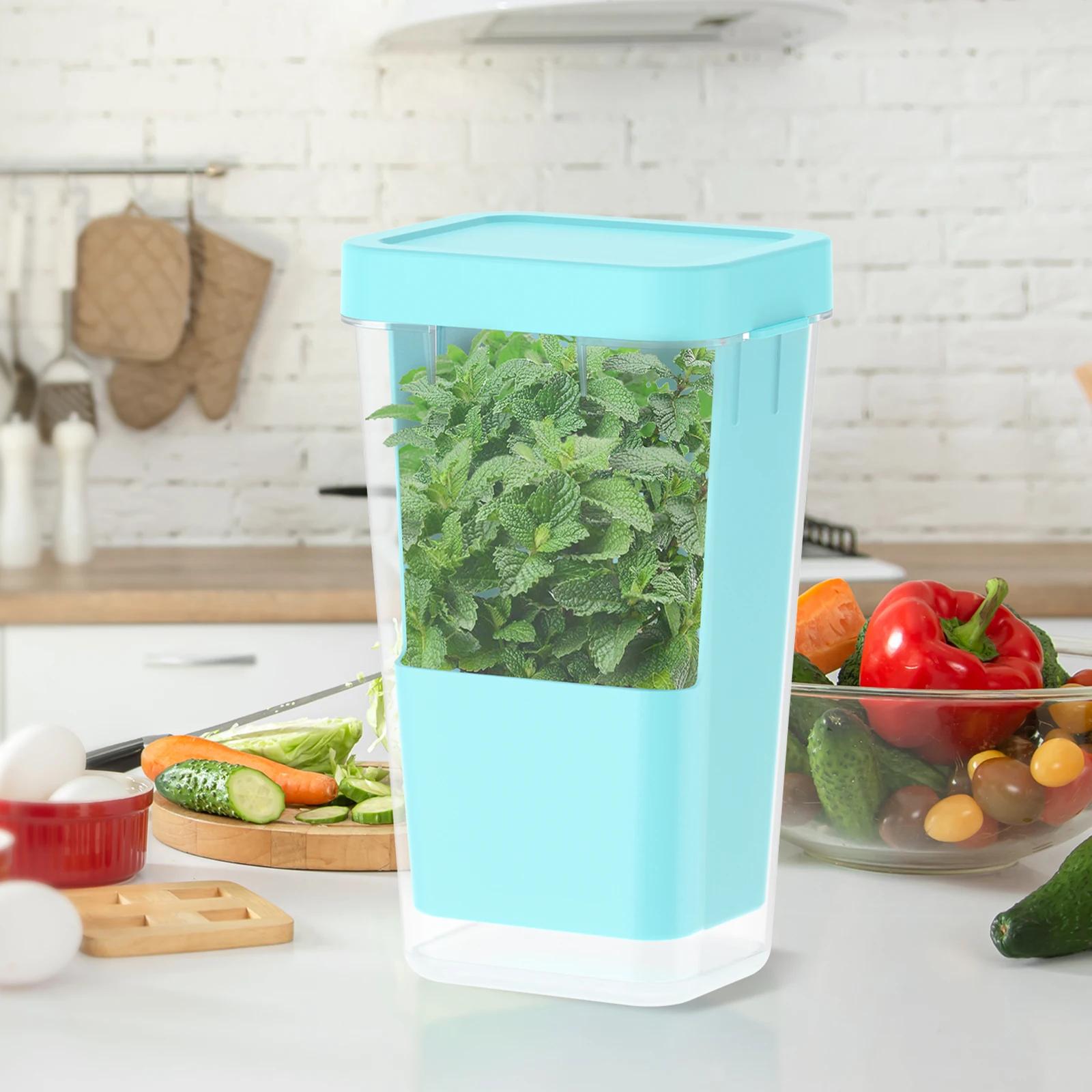 Контейнер для хранения овощей Бутылка Хранитель свежести трав для холодильника Хранитель для спаржи Свежесть 2-3 недели Хранитель для трав Кинзы